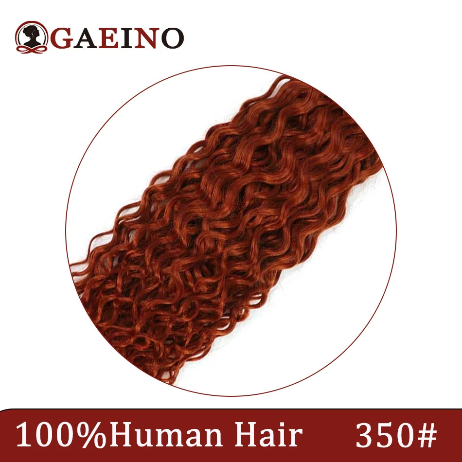 Water Wave Human Hair Weft Extension Dirty Blonde Curly Hair Sew In Weft Hair Extensions Double Weft Remy Hair Wet And Wavy 100G