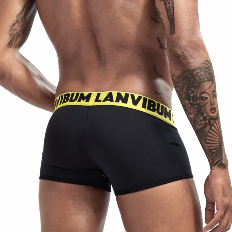 3PCS/LOT Male Cotton Underwear Men's Elasticity Boxers Breathable Underpants Comfort Cuecas Blue/White/Black/Red/Navy M L XL XXL