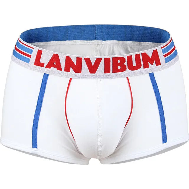 3PCS/LOT Male Cotton Underwear Men's Elasticity Boxers Breathable Underpants Comfort Cuecas Blue/White/Black/Red/Navy M L XL XXL